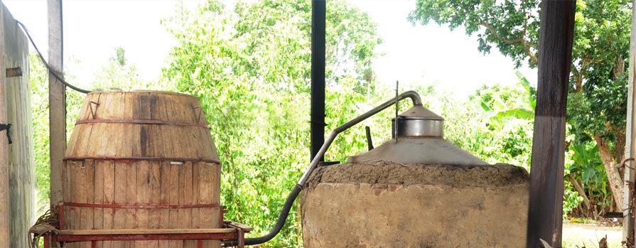 Cinnamon oil extractor in sri lanka